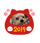 ラウロコ2019あけおめ（個別スタンプ：8）