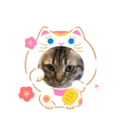 ラウロコ2019あけおめ（個別スタンプ：12）