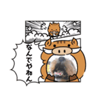 ラウロコ2019あけおめ（個別スタンプ：16）