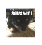 なんば言いよっと？カカくん（個別スタンプ：5）