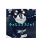 なんば言いよっと？カカくん（個別スタンプ：10）