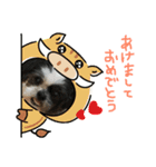 ごまさんスタンプ①（個別スタンプ：8）