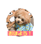 サスケの日常3 冬（個別スタンプ：1）