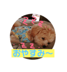 サスケの日常3 冬（個別スタンプ：2）
