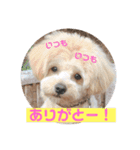 サスケの日常3 冬（個別スタンプ：5）