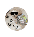 サスケの日常3 冬（個別スタンプ：7）