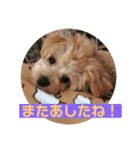 サスケの日常3 冬（個別スタンプ：9）