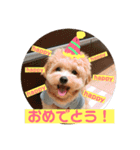 サスケの日常3 冬（個別スタンプ：14）