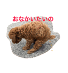 ぶるちゃんスタンプ（個別スタンプ：2）