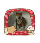 2019年 柴犬マメ郎(亥年)（個別スタンプ：13）