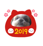 愛犬の明けましておめでとう（個別スタンプ：1）