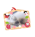 愛犬の明けましておめでとう（個別スタンプ：7）