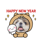 愛犬の明けましておめでとう（個別スタンプ：8）
