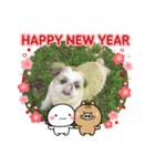 愛犬の明けましておめでとう（個別スタンプ：15）