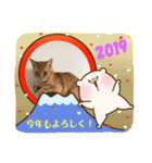 ニャンコたちの新年挨拶3（個別スタンプ：2）