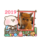 ニャンコたちの新年挨拶3（個別スタンプ：5）