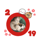 ニャンコたちの新年挨拶3（個別スタンプ：11）