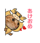 ニャンコたちの新年挨拶3（個別スタンプ：13）