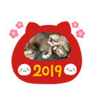 ニャンコたちの新年挨拶3（個別スタンプ：14）