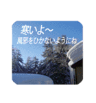 きちんと大人スタンプ～年末年始～（個別スタンプ：19）