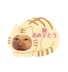 朱音✖夢大✖海青✖美雨（個別スタンプ：11）