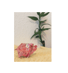 新年の折り紙（個別スタンプ：4）