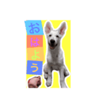 R(アール)（個別スタンプ：3）