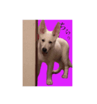 R(アール)（個別スタンプ：8）