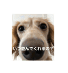 マロン様スタンプ2（個別スタンプ：6）
