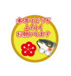 謹賀新年寒ブリ（香川県出身鰤23弾）（個別スタンプ：35）