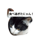 ねこねこにゃにゃーん（個別スタンプ：13）