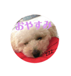 コロちゃんのつぶやき2（個別スタンプ：3）