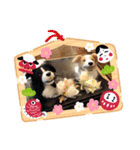 お気楽ボーダーコリー  s（個別スタンプ：3）