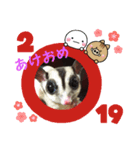 モモンガのルナちゃん（個別スタンプ：5）