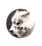 ベビーふぇいす（個別スタンプ：22）