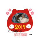 neko_2018（個別スタンプ：3）