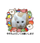 neko_2018（個別スタンプ：4）