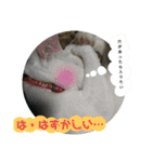 neko_2018（個別スタンプ：15）