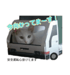 neko_2018（個別スタンプ：17）