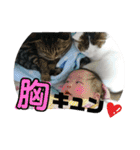 neko_2018（個別スタンプ：24）