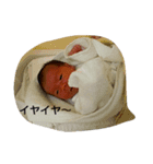 わが家のあいどる（個別スタンプ：2）