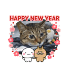 お正月もぐーたらソウタ（個別スタンプ：1）