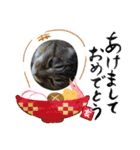 お正月もぐーたらソウタ（個別スタンプ：2）