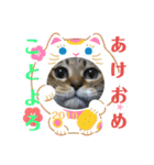 お正月もぐーたらソウタ（個別スタンプ：3）