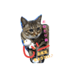 お正月もぐーたらソウタ（個別スタンプ：7）