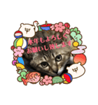 お正月もぐーたらソウタ（個別スタンプ：9）