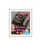 お正月もぐーたらソウタ（個別スタンプ：10）