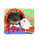 お正月もぐーたらソウタ（個別スタンプ：14）