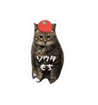 お正月もぐーたらソウタ（個別スタンプ：15）