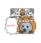 ポメラニアン「MERU」〜No.003（個別スタンプ：6）